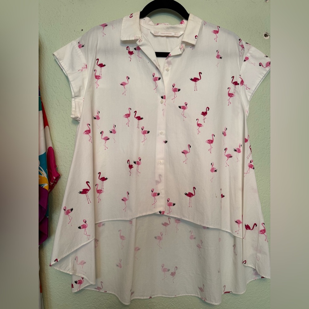 Zara Trafaluc Collection HiLo shirt